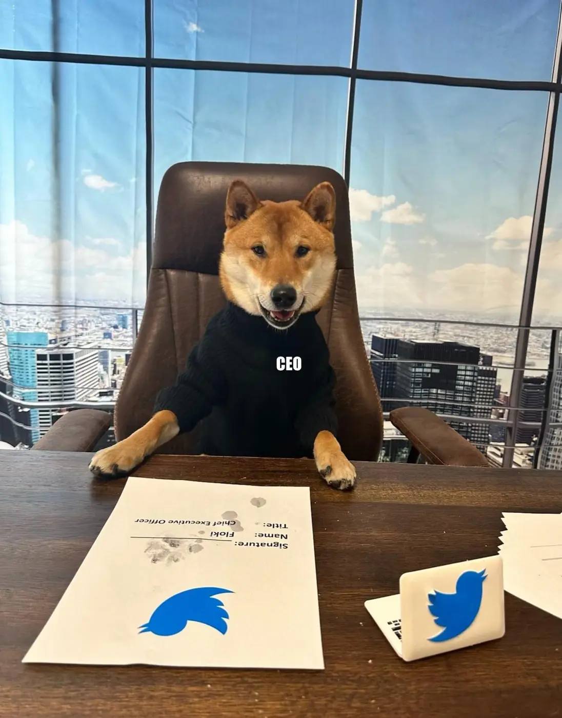 Floki seated at a desk wearing a CEO shirt